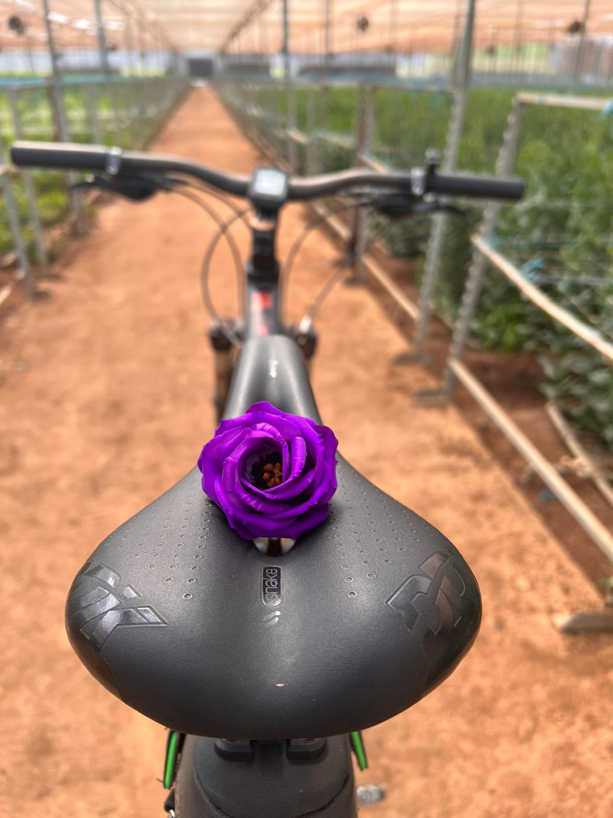 PEDAL EM HOLAMBRA - 15/02/2025 - Imagem 4